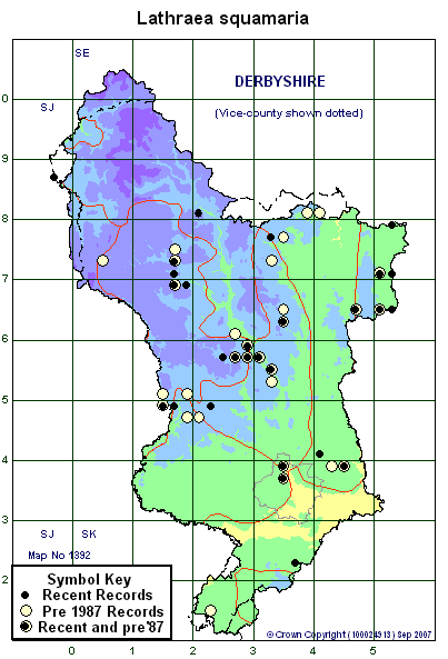 2 kilometre map image